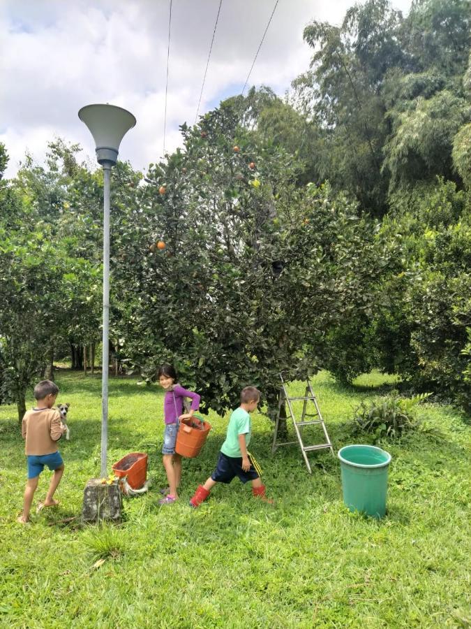 La Acuarela, Posada De La Monita Pereira Luaran gambar
