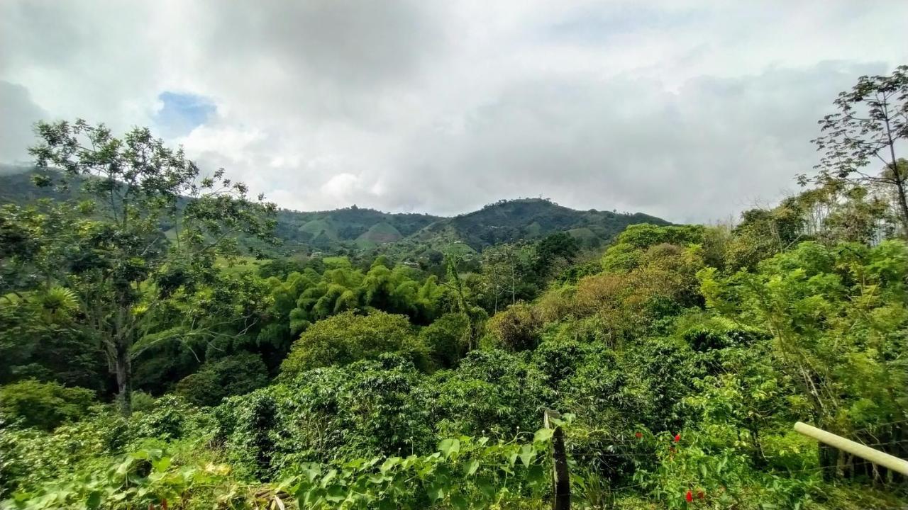 La Acuarela, Posada De La Monita Pereira Luaran gambar